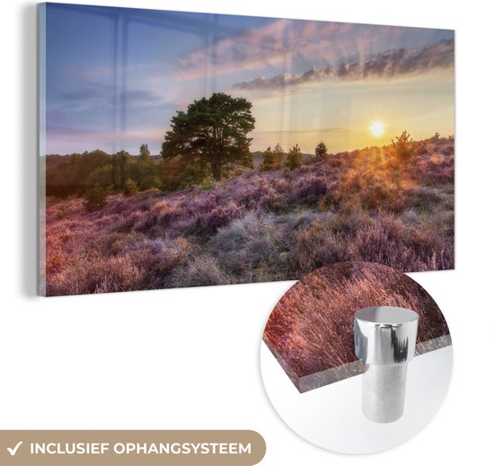MuchoWow® Glasschilderij 160x80 cm - Schilderij acrylglas - Bloeiende heide tijdens zonsondergang in Nederland - Foto op glas - Schilderijen