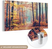 MuchoWow® Peinture sur verre - Forêt - Automne - Feuilles - 120x60 cm - Peintures sur verre acrylique - Photo sur Glas