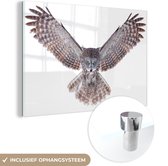 MuchoWow® Glasschilderij 90x60 cm - Schilderij acrylglas - Vliegende uil - Foto op glas - Schilderijen