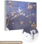 MuchoWow® Glasschilderij 80x60 cm - Schilderij acrylglas - Witte mees op een tak met sneeuw - Foto op glas - Schilderijen
