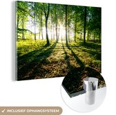 Peinture sur verre - Soleil perçant dans les forêts du parc national de Söderåsen en Suède - 90x60 cm - Peintures sur verre acrylique - Photo sur Glas