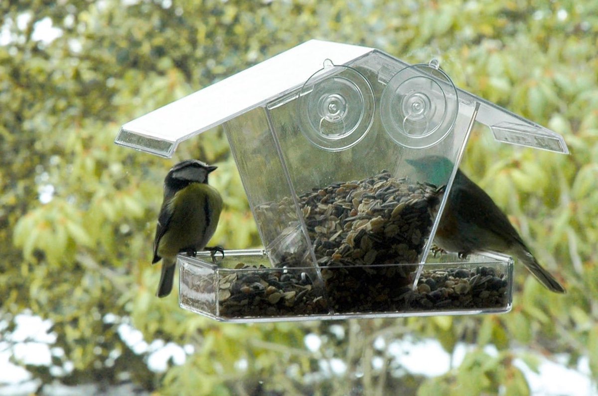 Mangeoire à oiseaux de fenêtre - Grande cabane à oiseaux pour fenêtre  suspendue extérieure Mangeoire à oiseaux avec ventouses et chaînes:  mangeoire à