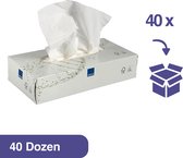 Care-Ness Facial Tissues Excellent - Tissue Box - Tissues Voordeelverpakking - 40 x 100 Tissues - 2 laags