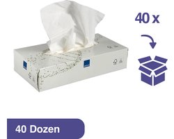 Care-Ness Facial Tissues Excellent - Tissue Box - Tissues Voordeelverpakking - 40 x 100 Tissues - 2 laags