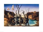 Salvador Dali Swans Reflecting Elephants Art Print 60x80cm | Poster