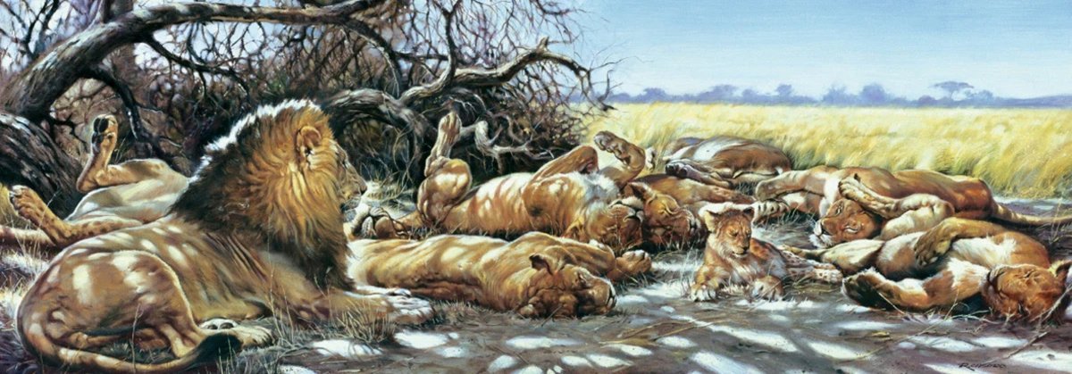 PGM Kunstdruk Renato Casaro - After breakfast 99x34cm Divers
