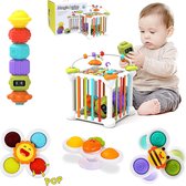 Montessor speelgoed Set - 12x stuks - voor jongensmeisjes, baby Sensory Bin Shape Sorter Toys Kleurrijke kubus, met 3 zuignap Tolspeelgoed en kralendoolhof, vroeg leren speelgoed voor peuters Leeftijd 1-3