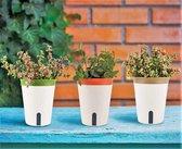 Pakket van 3 zelfwaterende bloempotten, 12,5 cm ronde plastic bloempot, bonsaipotten voor tuinbloemen voor aloë, kruiden en vetplanten - met waterpeilvenster en verborgen lekbak.