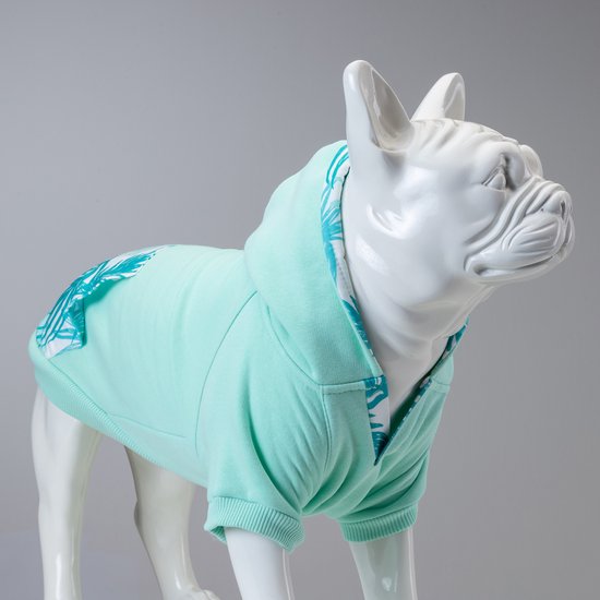 Hondenkleding, winter, warme kleding, sweatshirt, Mint Green Sweatshirt