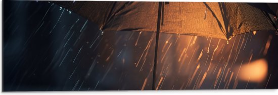 Dibond - Regen - Paraplu - Licht - 90x30 cm Foto op Aluminium (Met Ophangsysteem)