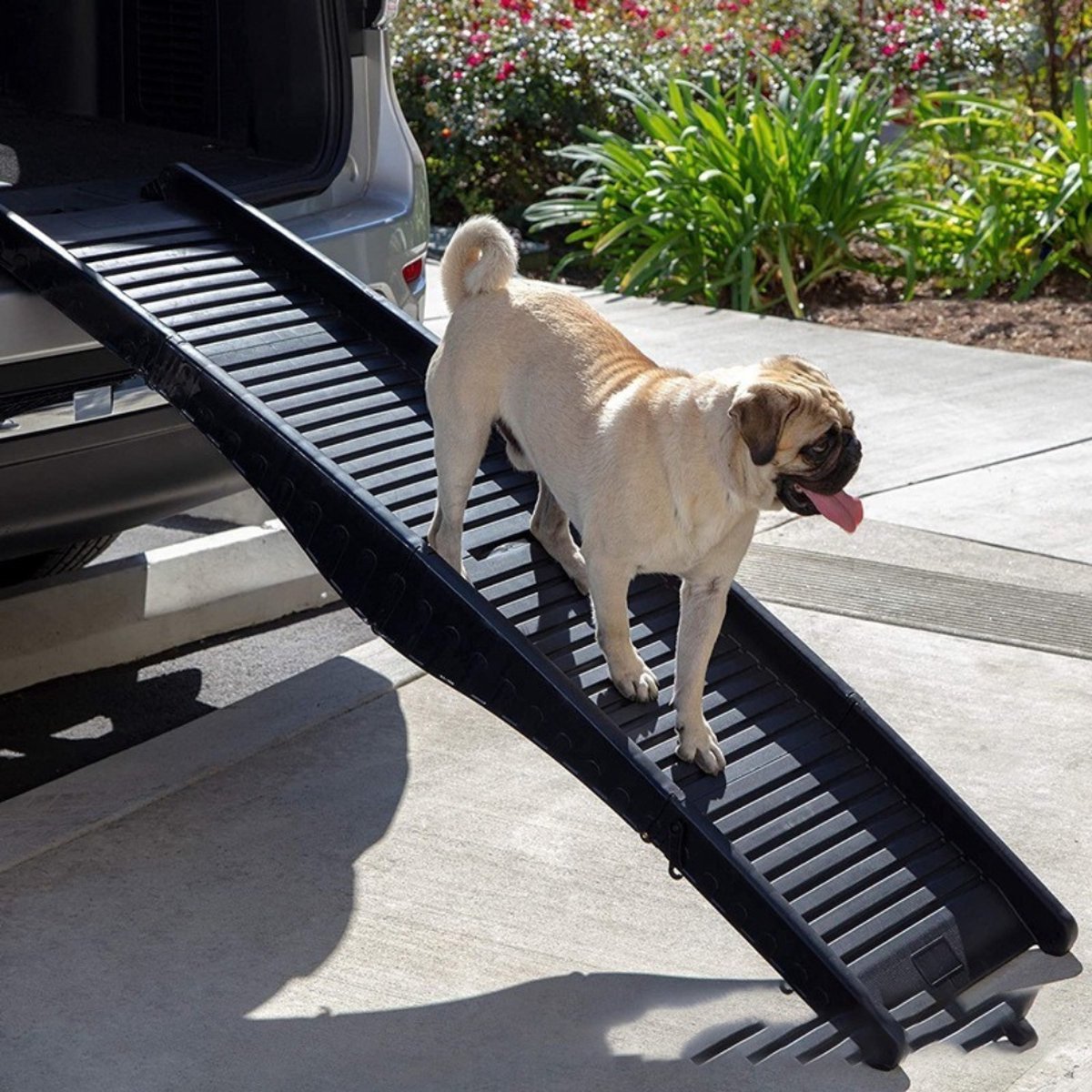 Escaliers pour chiens Xerolax - Marches pour Chiens - Rampe pour chiens -  Marche 