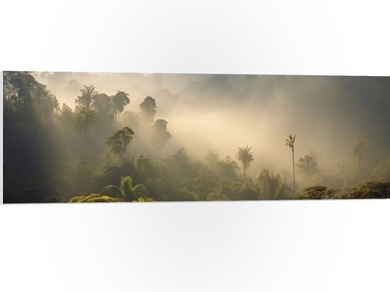 PVC Schuimplaat- Ochtend - Bos - Mistig - Bomen - 120x40 cm Foto op PVC Schuimplaat