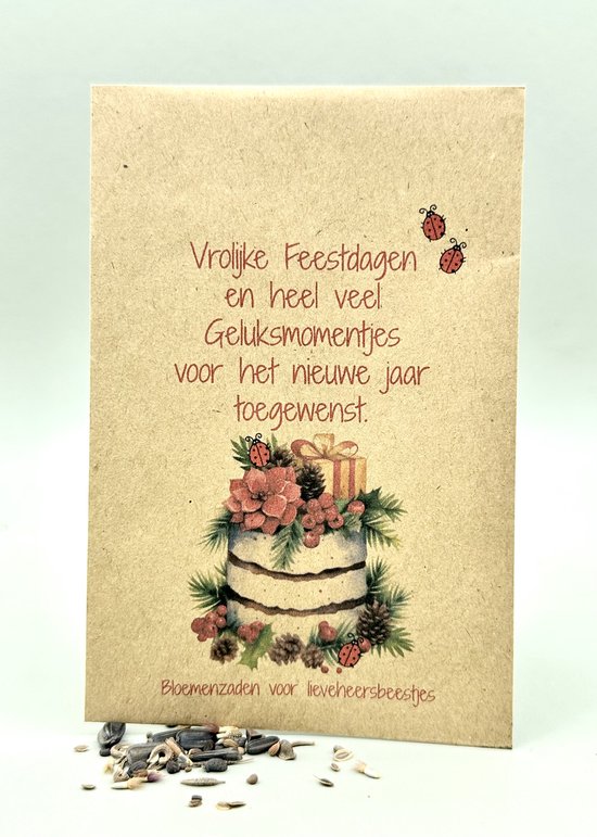 10 stuks /Vrolijke Feestdagen en heel veel geluksmomentjes voor het nieuwe jaar toegewenst, bloemenzaden,lieveheersbeestjes,geluk, kerst attentie, kerstkadootje,brievenbuskadootje,geluk,kadootje geluk, bloemetje cadeau, green gift, eco,