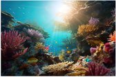 Poster Glanzend – Onderwater - Oceaan - Zee - Koraal - Vissen - Kleuren - Zon - 120x80 cm Foto op Posterpapier met Glanzende Afwerking