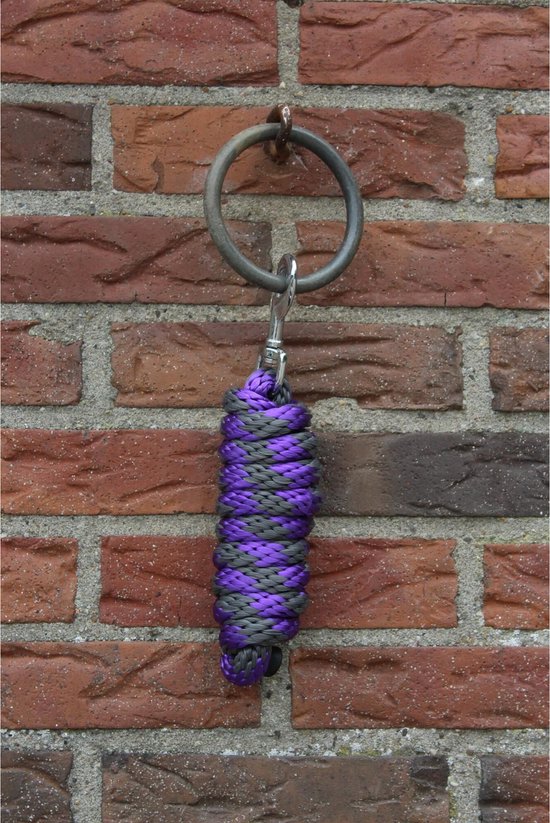 Een paars en grijs halstouw hangt aan een metalen ring aan een bakstenen muur.