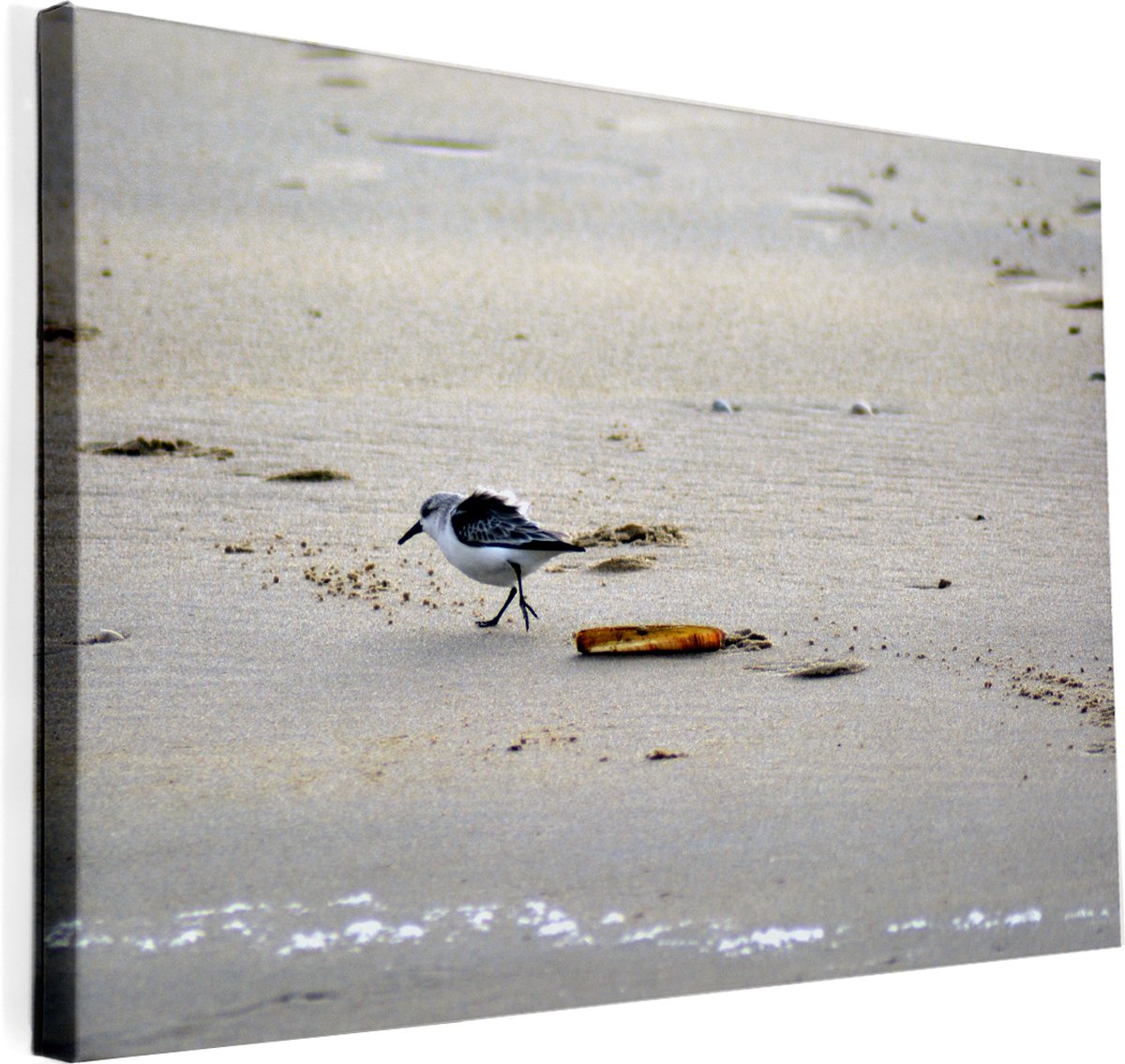 Texelphotos.nl - Foto afdruk op canvas - Texel Strandloper - Duin - Strand - Zee - Zonsondergang - Canvas doek – Wanddecoratie - Canvas schilderij – Natuur - Landschap - 90 x 60 cm.