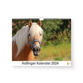 XL 2024 Kalender - Jaarkalender - Haflinger