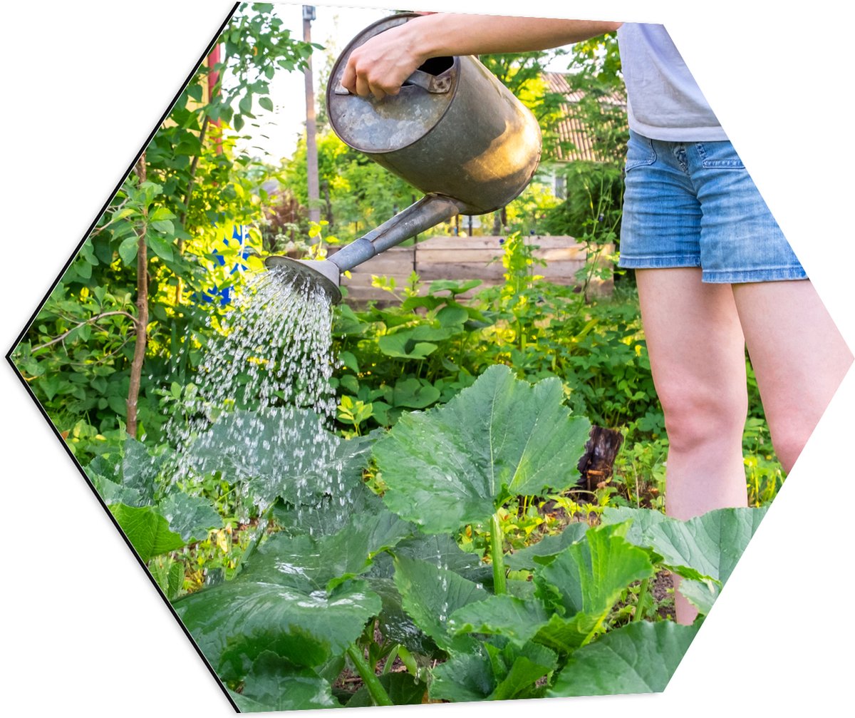 Dibond Hexagon - Tuin - Bloemen - Planten - Gieter - Water - Groen - 80x69.6 cm Foto op He