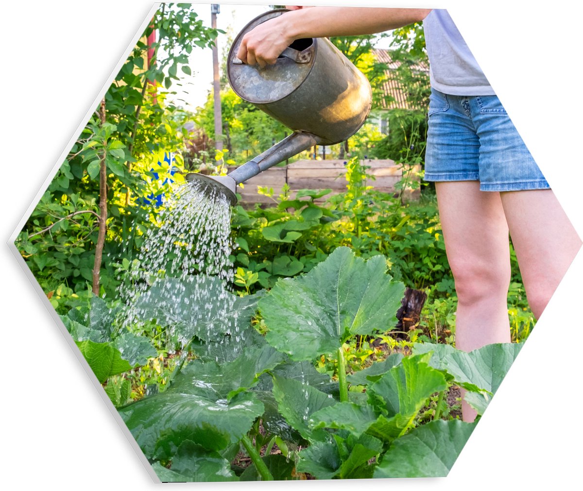 PVC Schuimplaat Hexagon - Tuin - Bloemen - Planten - Gieter - Water - Groen - 30x26.1 cm F