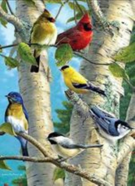 Foto: Figuredart diamond painting set volwassenen 40x50 cm bak het 5d diy art full drill vierkante diamant opgerold canvas