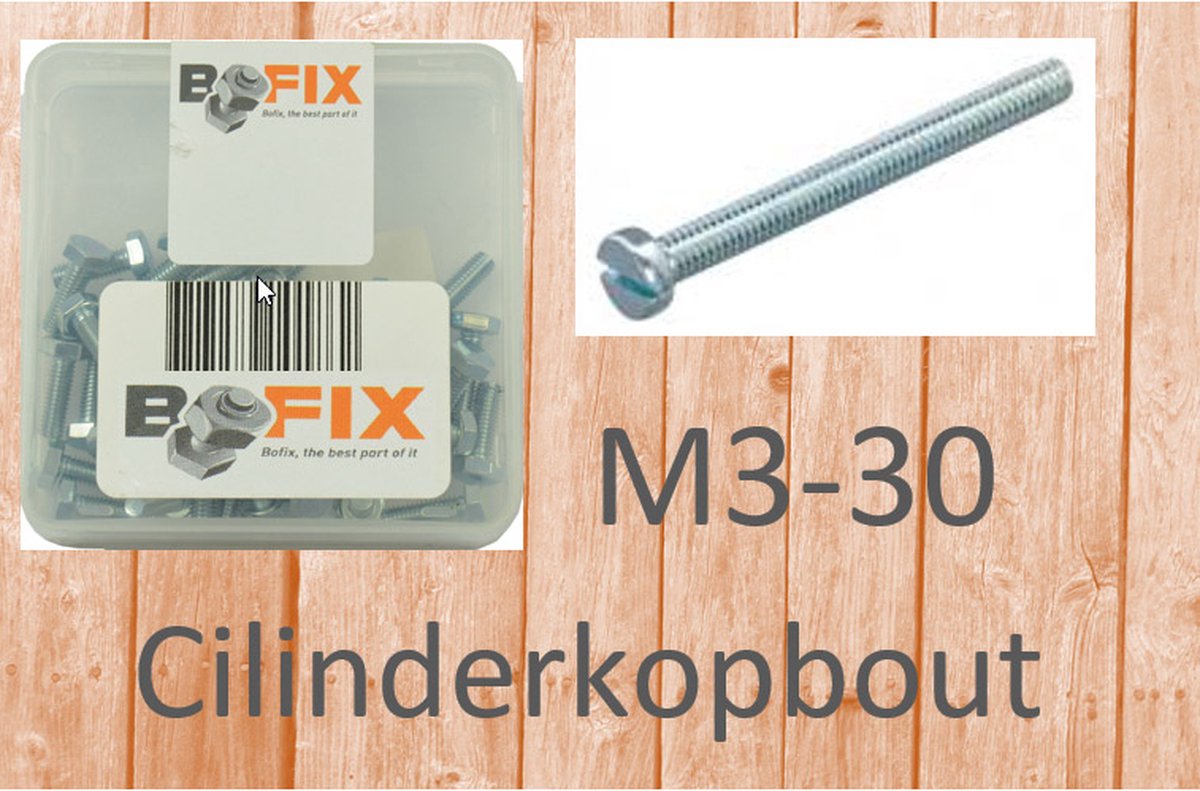 Bofix Cilinderkopbout M3x30 verzinkt (50st)