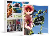 Bongo Bon - 3 DAGEN IN EEN BIJZONDERE B&B IN NEDERLAND - Cadeaukaart cadeau voor man of vrouw