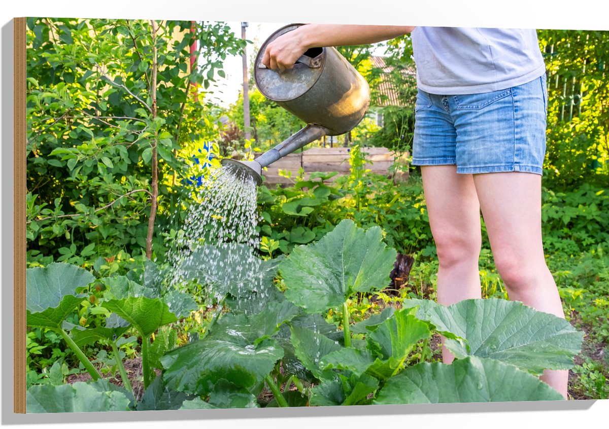 Hout - Tuin - Bloemen - Planten - Gieter - Water - Groen - 90x60 cm - 9 mm dik - Foto op H