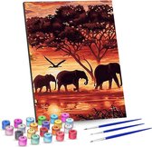 Rubye® Schilderen Op Nummer Volwassenen – Olifanten Familie – Inclusief Penselen – Canvas Schildersdoek – Kleuren op Nummer – 40x50cm