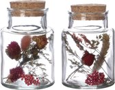 Glazen medicijnfles met 2 diverse droogbloemen Ø7cm (12 st.)