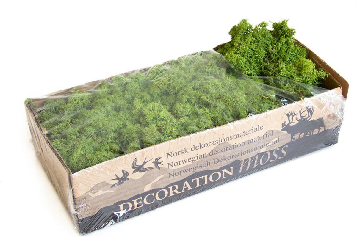 IJslands Mos Gras - Groen | 500 gram