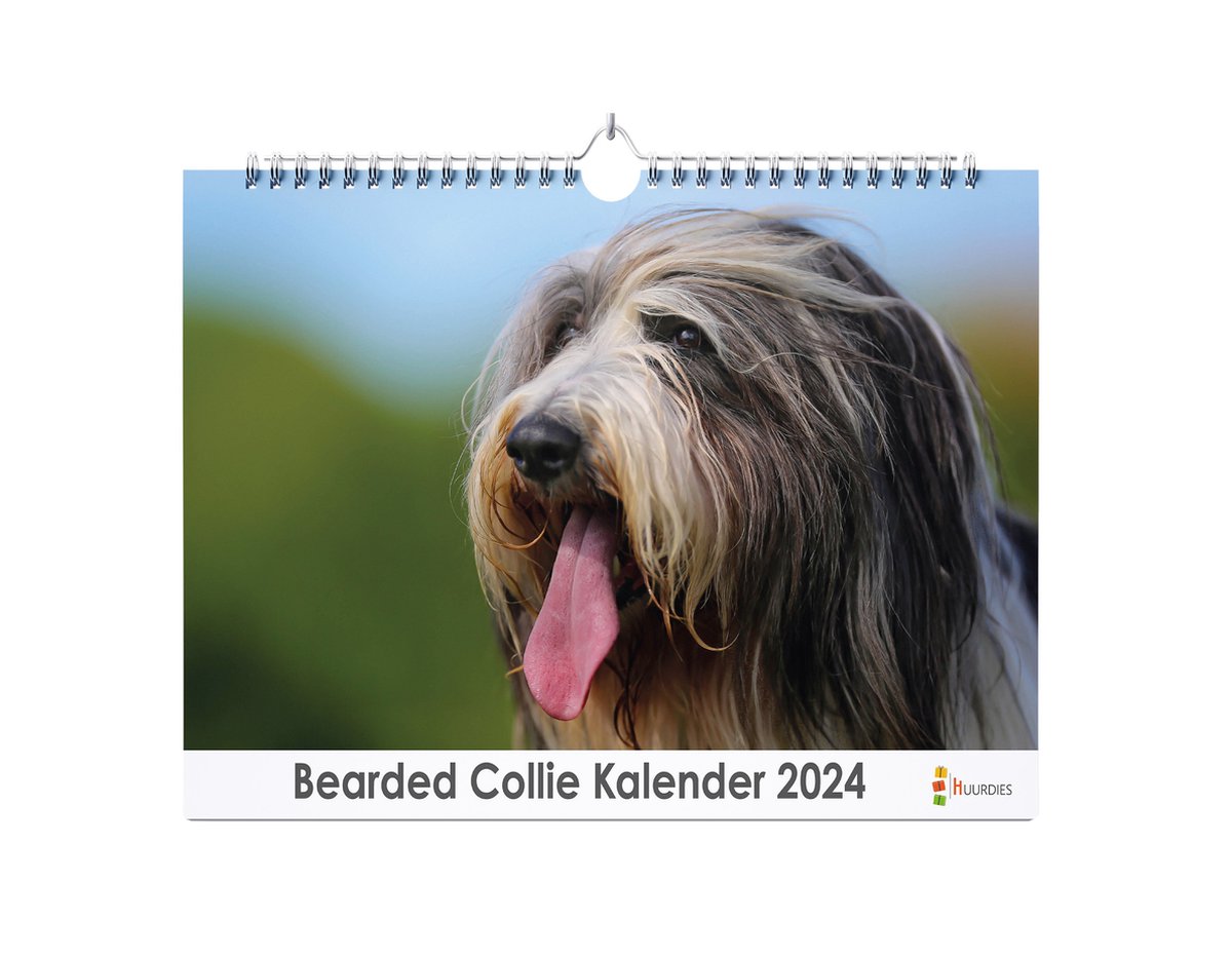 XL 2024 Kalender - Jaarkalender - Bearded Collie