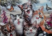 Denza - Diamond painting vrolijke poezen met vlinder 40 x 50 cm volledige bedrukking ronde steentjes direct leverbaar - poes - kitten - kat