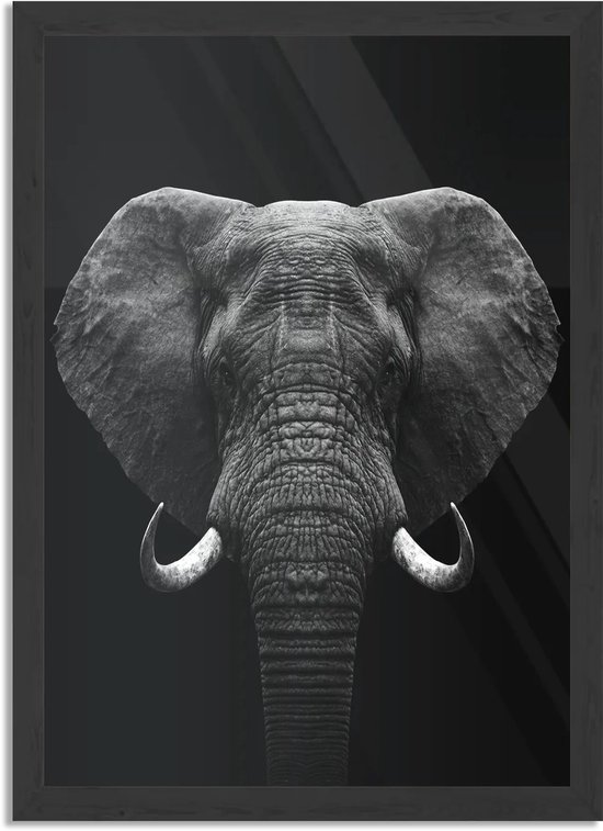 Poster Olifant Zwart Wit Rechthoek Verticaal Met Lijst XL (50 X 70 CM