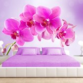 Fotobehangkoning - Behang - Vliesbehang - Fotobehang - Thoughtfulness - Orchidee - Orchideeën - Bloemen - 200 x 140 cm