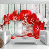 Fotobehangkoning - Behang - Vliesbehang - Fotobehang - Ruby orchid - Orchidee - Bloemen - 150 x 105 cm