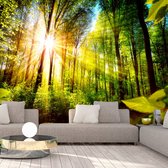 Fotobehangkoning - Behang - Vliesbehang - Fotobehang - Forest Hideout - Bos - Zonsondergang - Zonnestralen tussen de Bomen - 300 x 210 cm