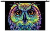 Mezo Wandkleed Colored Owl 01 Rechthoek Horizontaal S (40 X 60 CM) - Wandkleden - Met roedes