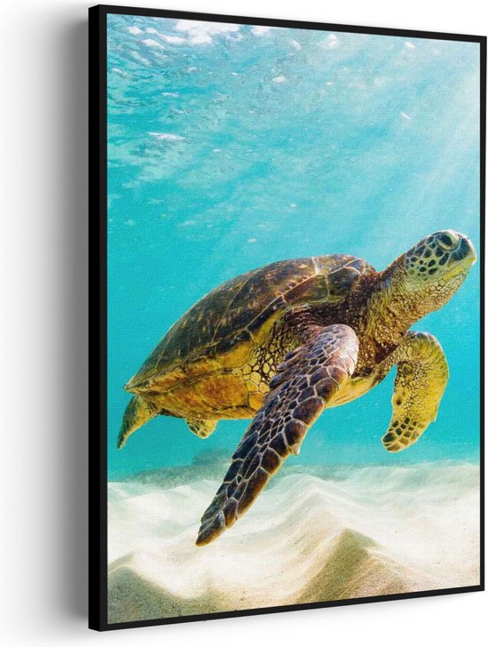 Decomonkey - Tableau Acoustique Noir Et Blanc Paysage 120x80 1 Pièce