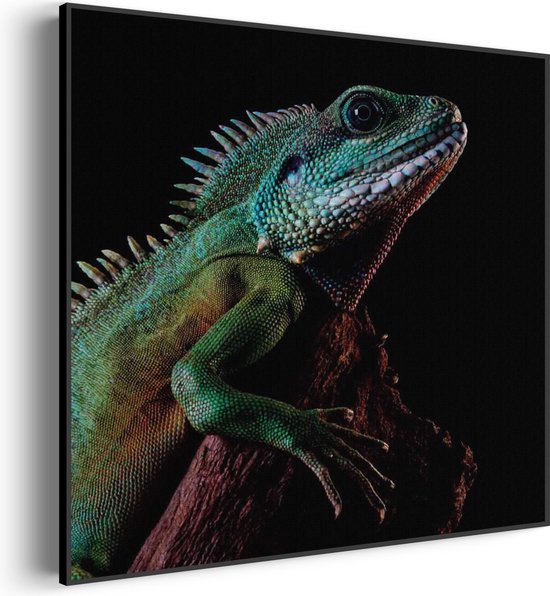 Akoestisch Schilderij De Groene Kameleon Vierkant Pro M (65 X 65 CM) - Akoestisch paneel - Akoestische Panelen - Akoestische wanddecoratie - Akoestisch wandpaneel