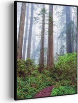 Akoestisch Schilderij Sequoia bos Rechthoek Verticaal Pro L (72 X 100 CM) - Akoestisch paneel - Akoestische Panelen - Akoestische wanddecoratie - Akoestisch wandpaneel
