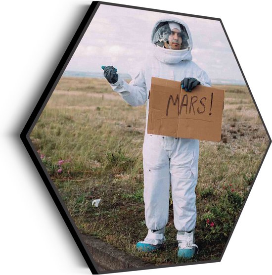 Akoestisch Schilderij Onderweg Naar Mars Hexagon Basic M (60 X 52 CM) - Akoestisch paneel - Akoestische Panelen - Akoestische wanddecoratie - Akoestisch wandpaneel