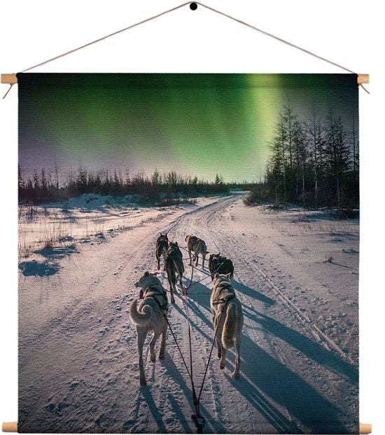Textielposter Huskies door Lapland Vierkant XXXL (120 X 120 CM) - Wandkleed - Wanddoek - Wanddecoratie