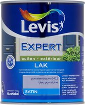 Levis Expert Lak Buiten Satin 6411 1L