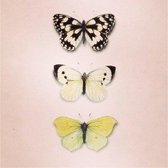 Houten photoblock vlinders - klein schilderijtje, wanddecoratie