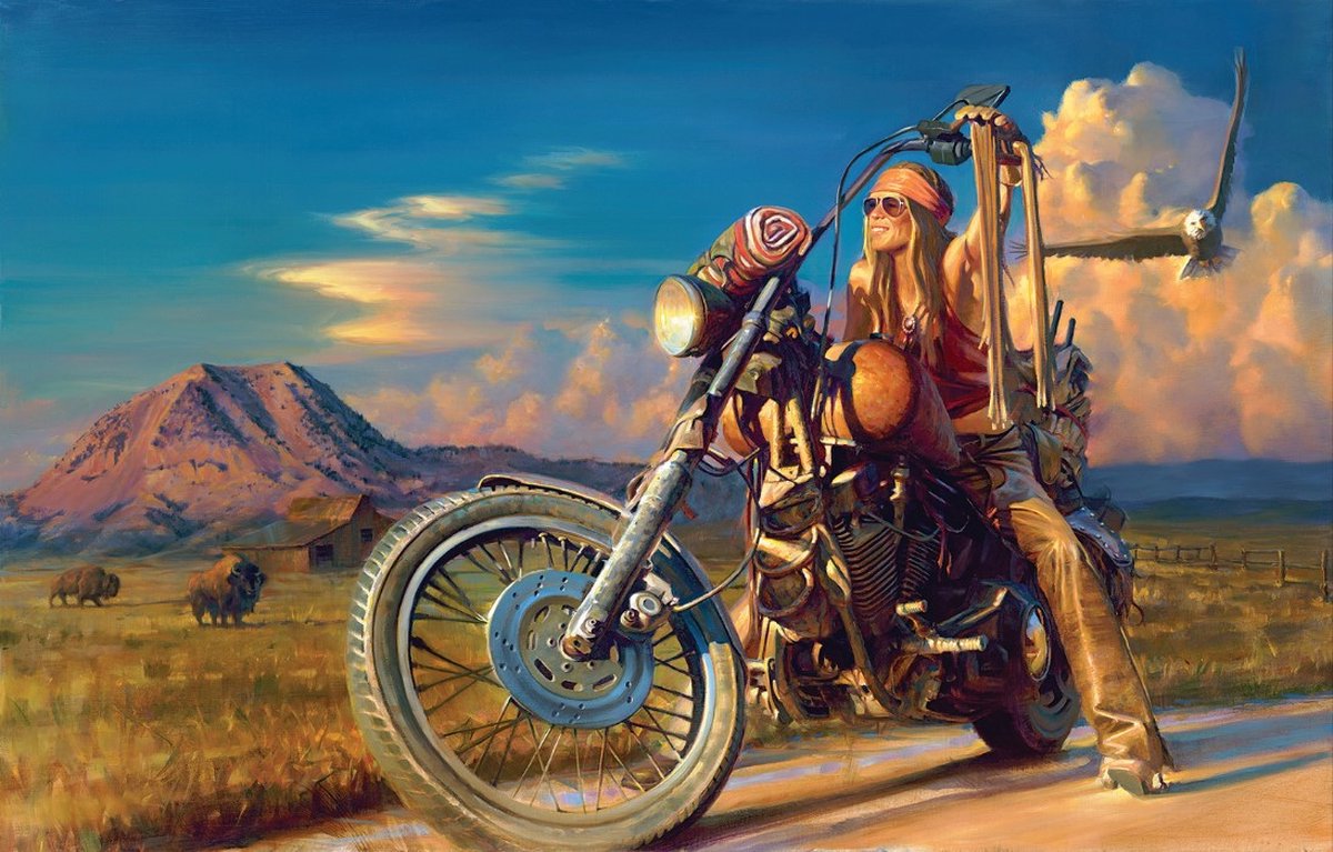 SunsOut puzzel Free Spirit - 1000 stukjes.