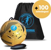 Minisoccerbal - Ballon sur corde - Cadeau Sinterklaas - Avec sac - Or