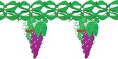 Druiven en wijn thema feest slingers - 400 cm - brandvertragend papier - versiering - wijnavond - fruit