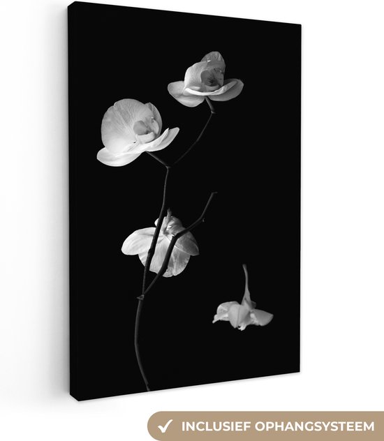 Canvas Schilderij Orchidee - Bloemen - Zwart - Wit - Stilleven - 60x90 cm - Wanddecoratie