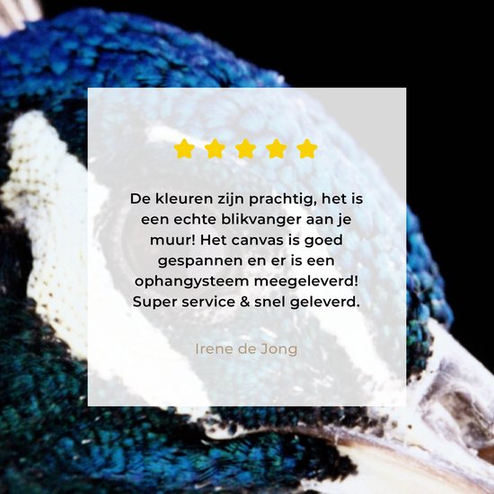 Tableau sur toile Paon - Animal - Blauw - 180x120 cm - Décoration murale XXL