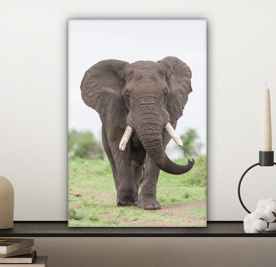 Peintures sur toile - Éléphant venant en sens inverse - 20x30 cm - Décoration murale